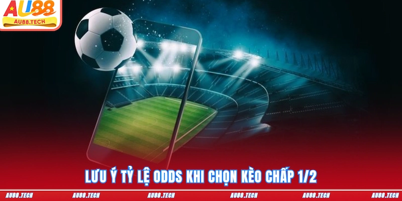 Lưu ý tỷ lệ odds khi chọn kèo chấp 1/2